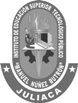 IESTP Manuel Nuñez Butron